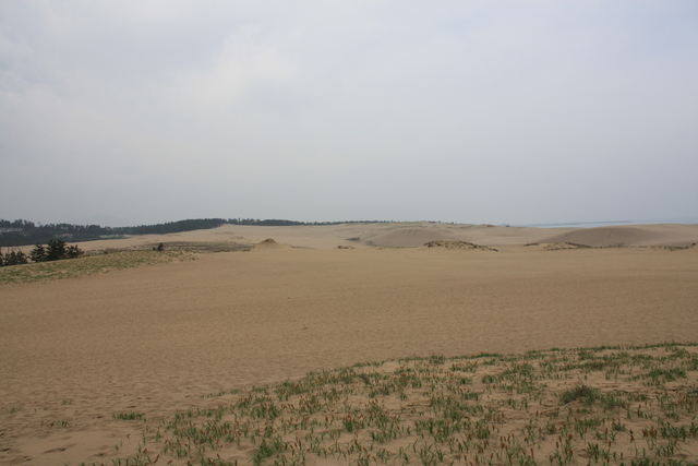 山陰海岸国立公園・天然記念物・鳥取砂丘７の写真の写真