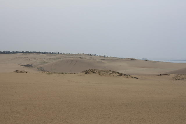 山陰海岸国立公園・天然記念物・鳥取砂丘８の写真の写真
