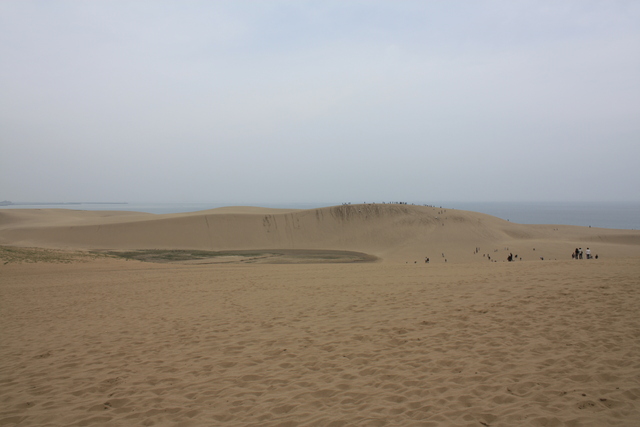 山陰海岸国立公園・天然記念物・鳥取砂丘１１の写真の写真