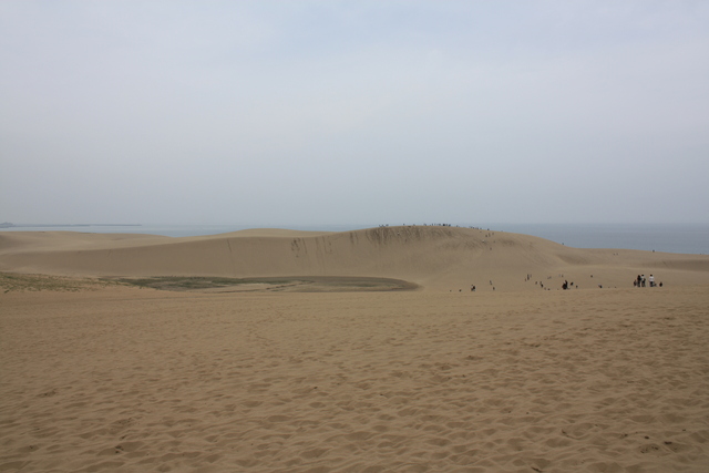 山陰海岸国立公園・天然記念物・鳥取砂丘１１の写真の写真