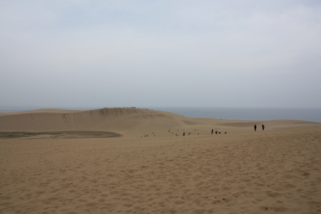 山陰海岸国立公園・天然記念物・鳥取砂丘１２の写真の写真