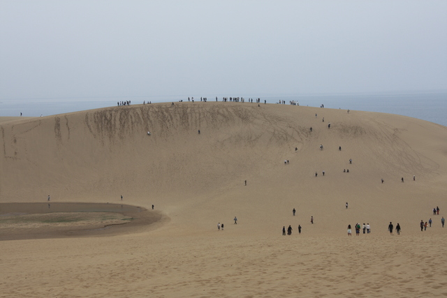 山陰海岸国立公園・天然記念物・鳥取砂丘１３の写真の写真