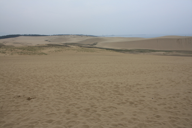 山陰海岸国立公園・天然記念物・鳥取砂丘１５の写真の写真