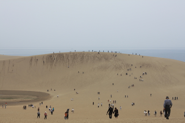 山陰海岸国立公園・天然記念物・鳥取砂丘１７の写真の写真