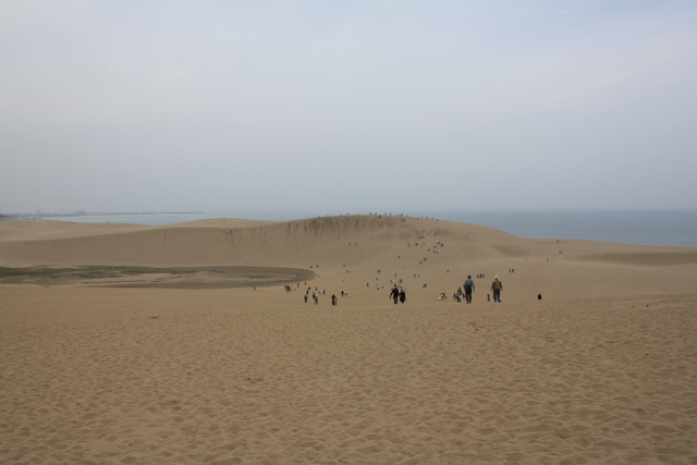 山陰海岸国立公園・天然記念物・鳥取砂丘１８の写真の写真