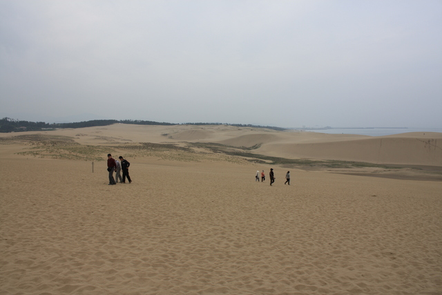 山陰海岸国立公園・天然記念物・鳥取砂丘１９の写真の写真