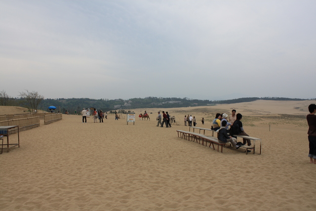 山陰海岸国立公園・天然記念物・鳥取砂丘２０の写真の写真