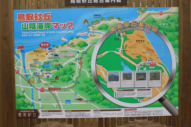 山陰海岸国立公園・天然記念物・鳥取砂丘２１の写真の写真