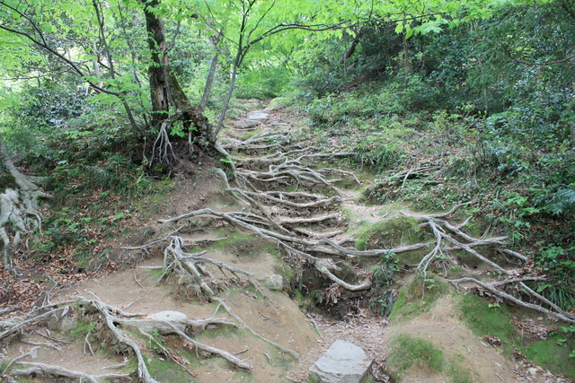 名勝・史跡・三徳山三仏寺１２の写真の写真
