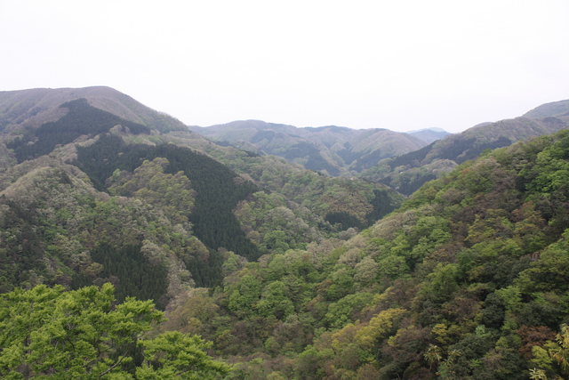 名勝・史跡・三徳山三仏寺１７の写真の写真