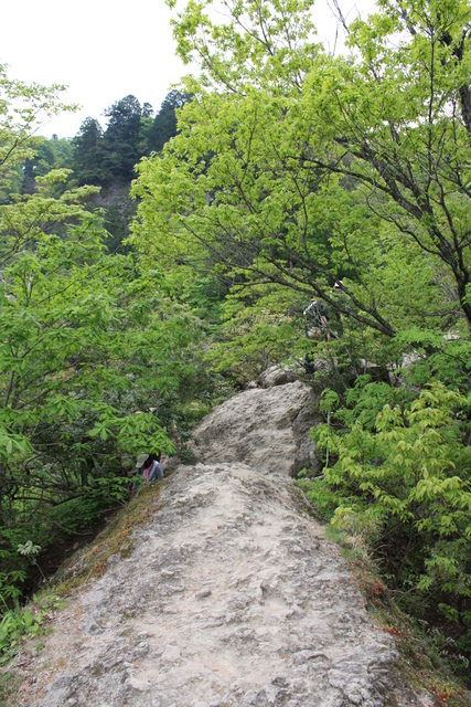 名勝・史跡・三徳山三仏寺・馬の背の写真の写真