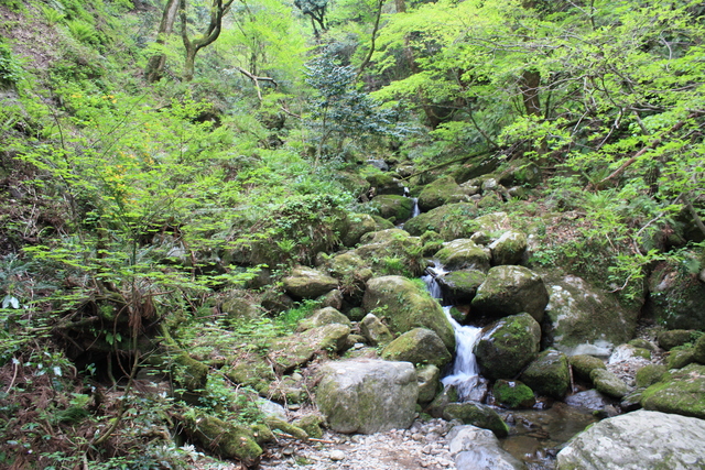 名勝・史跡・三徳山三仏寺３７の写真の写真