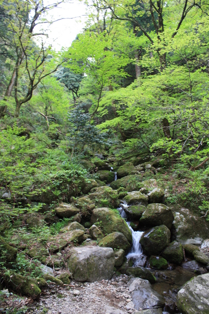 名勝・史跡・三徳山三仏寺３８の写真の写真