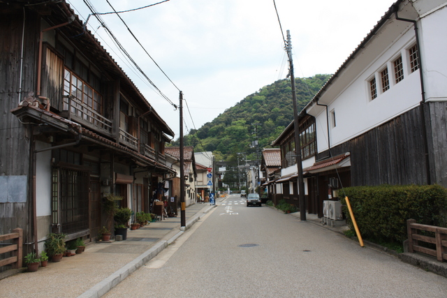 伝統的建造物群保存地区・倉吉市打吹玉川４４の写真の写真