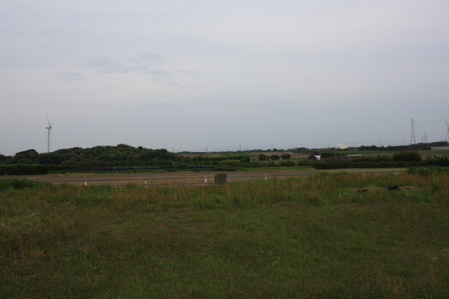 特別史跡・斎尾廃寺跡８の写真の写真