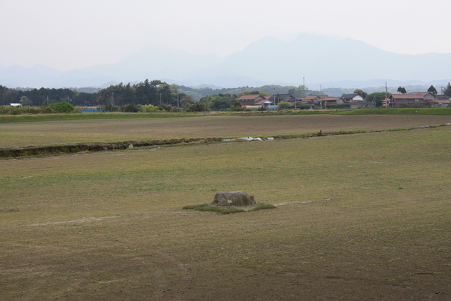特別史跡・斎尾廃寺跡１５の写真の写真