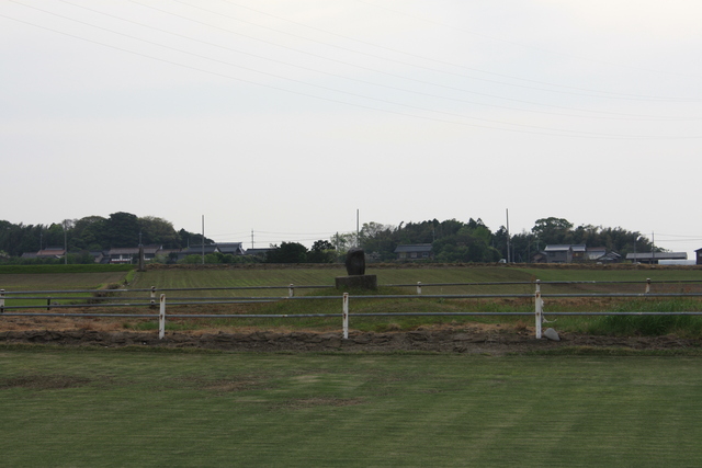 特別史跡・斎尾廃寺跡２７の写真の写真