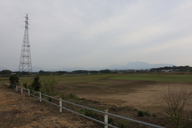 特別史跡・斎尾廃寺跡３１の写真の写真