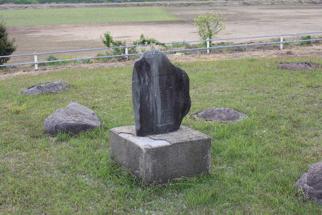 特別史跡・斎尾廃寺跡３３の写真の写真