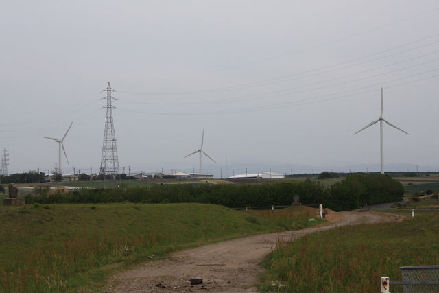 特別史跡・斎尾廃寺跡４０の写真の写真