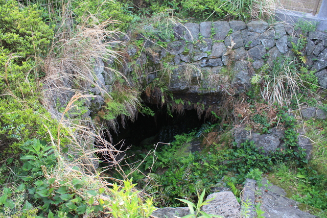 特別天然記念物・大根島の熔岩隧道の写真の写真