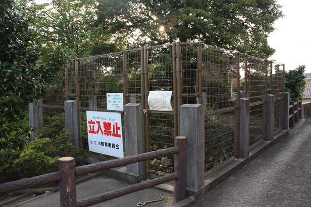 大根島の熔岩隧道３の写真の写真