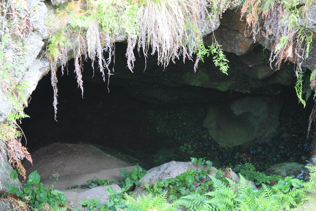 大根島の熔岩隧道４の写真の写真