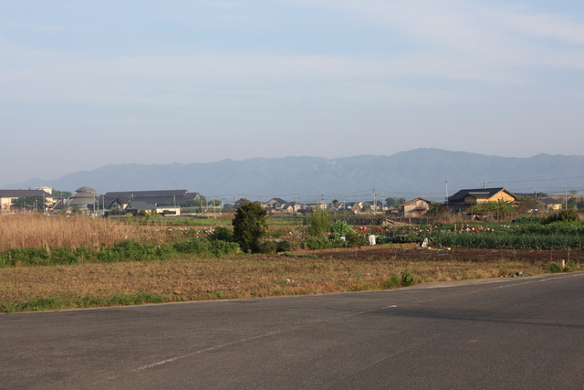大根島の景色の写真の写真