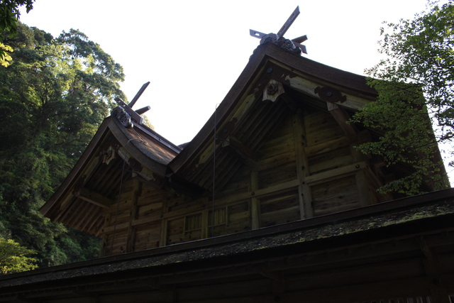 重要文化財・美保神社・本殿の写真の写真
