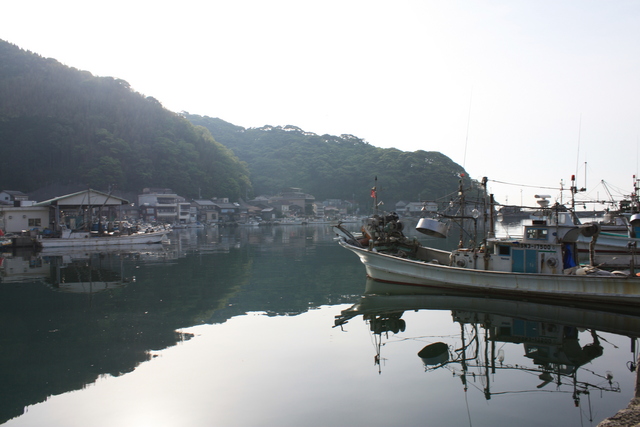 美保湾２の写真の写真