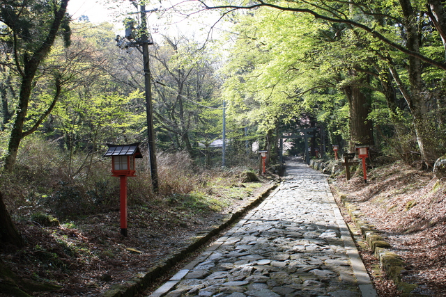 大上山神社奥宮・参道３の写真の写真