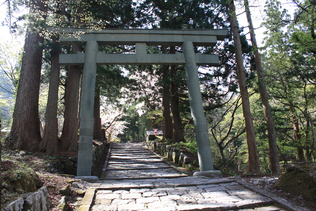 大上山神社奥宮・鳥居の写真の写真