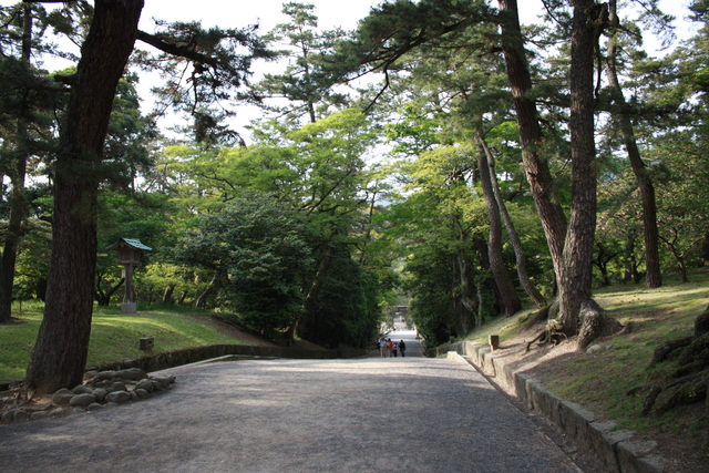 出雲大社・参道２の写真の写真
