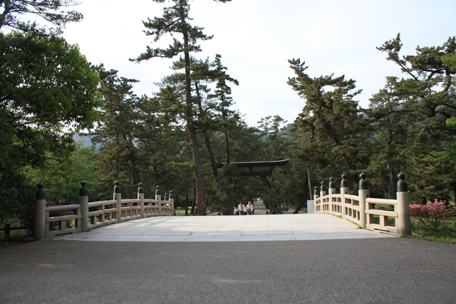 出雲大社・参道３の写真の写真