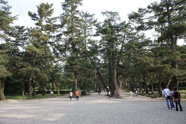 出雲大社・境内の写真の写真