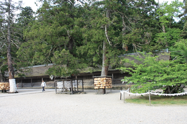 出雲大社・境内５の写真の写真