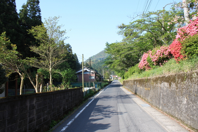 石見銀山遺跡６の写真の写真