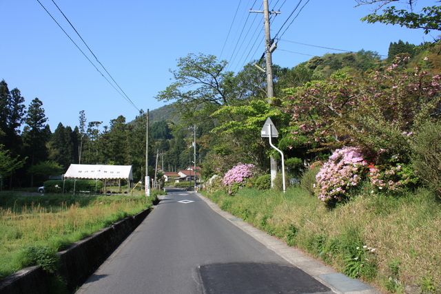 石見銀山遺跡９の写真の写真
