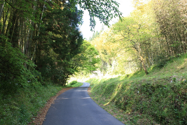 石見銀山１の写真の写真