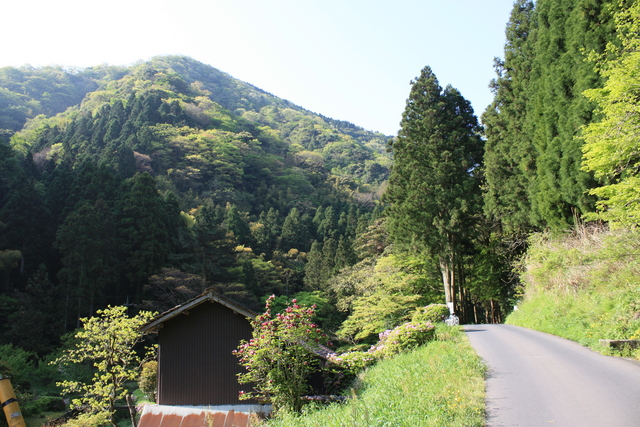 石見銀山２の写真の写真