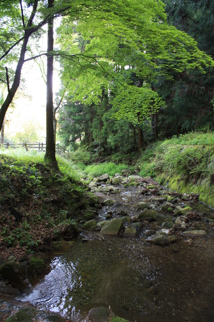 石見銀山・銀山川１の写真の写真