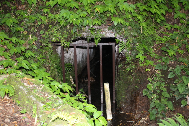 石見銀山遺跡・新切間歩の坑道入り口の写真の写真