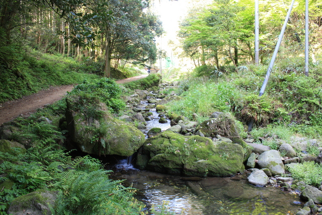 石見銀山・銀山川２の写真の写真