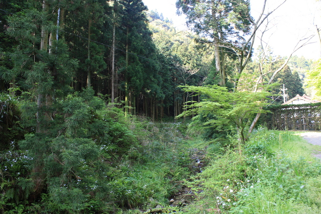 石見銀山４の写真の写真