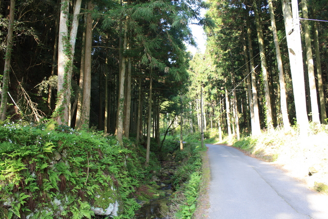 石見銀山７の写真の写真