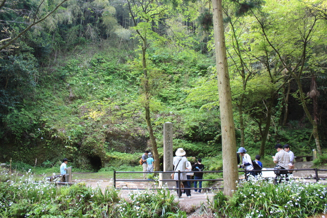 石見銀山遺跡・龍源寺間歩１の写真の写真