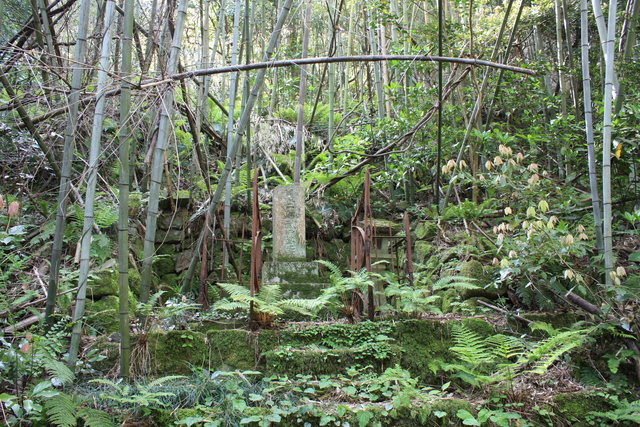 石見銀山遺跡１８の写真の写真