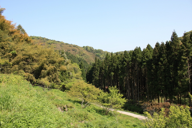 石見銀山・清水谷精錬所８の写真の写真