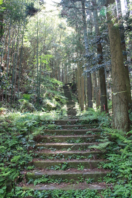 石見銀山遺跡３１の写真の写真