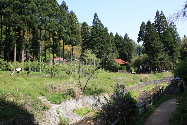 石見銀山遺跡３６の写真の写真